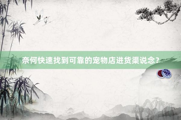 奈何快速找到可靠的宠物店进货渠说念？